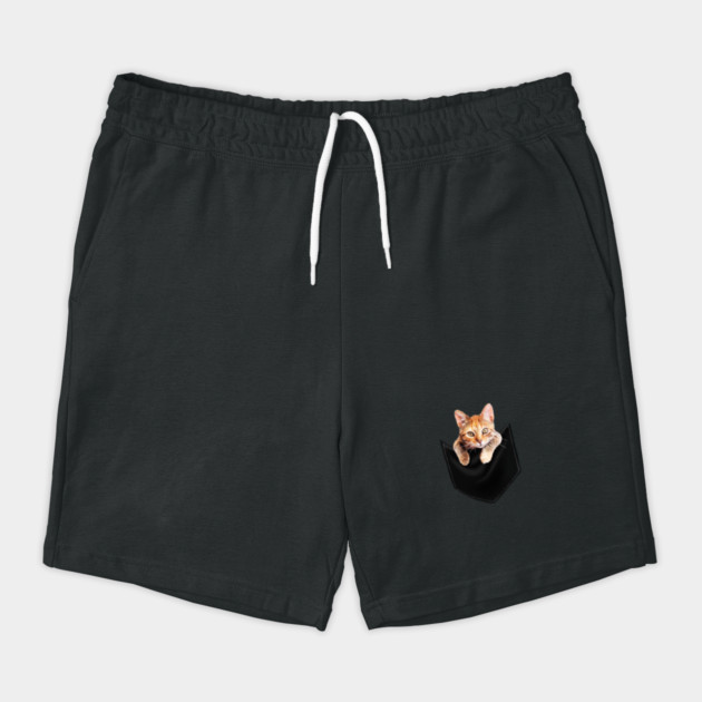 Funny Cute Ginger Cat Inside Pocket, Cat Lover by logiamerch