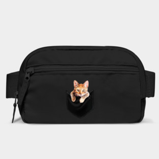 Funny Cute Ginger Cat Inside Pocket, Cat Lover Bag