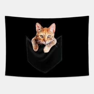Funny Cute Ginger Cat Inside Pocket, Cat Lover Tapestry