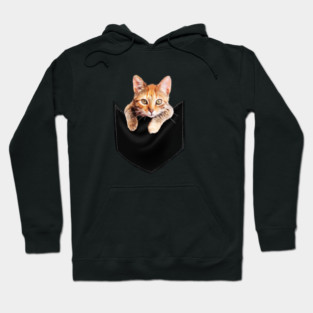 Funny Cute Ginger Cat Inside Pocket, Cat Lover Hoodie
