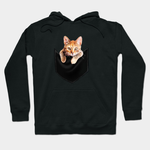 Funny Cute Ginger Cat Inside Pocket, Cat Lover Hoodie by logiamerch