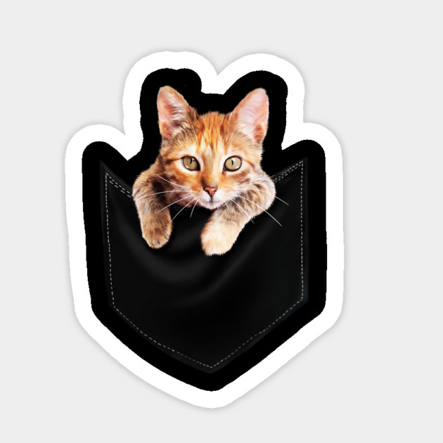 Funny Cute Ginger Cat Inside Pocket, Cat Lover Sticker by logiamerch
