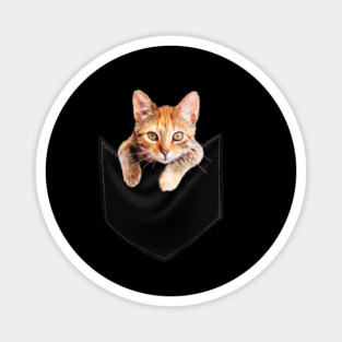 Funny Cute Ginger Cat Inside Pocket, Cat Lover Magnet