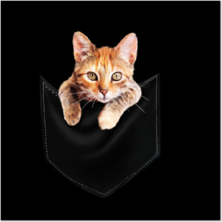 Funny Cute Ginger Cat Inside Pocket, Cat Lover Posters and Art