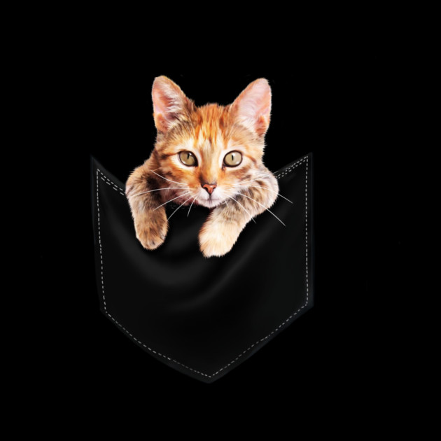 Funny Cute Ginger Cat Inside Pocket, Cat Lover by logiamerch
