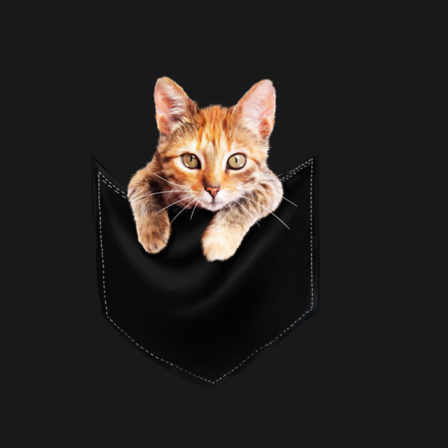 Funny Cute Ginger Cat Inside Pocket, Cat Lover by logiamerch