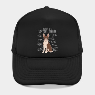 Seal Boston Terrier Dog Anatomy Hat