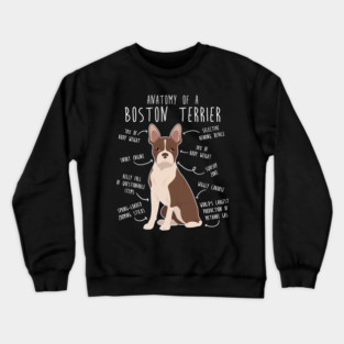 Seal Boston Terrier Dog Anatomy Crewneck Sweatshirt