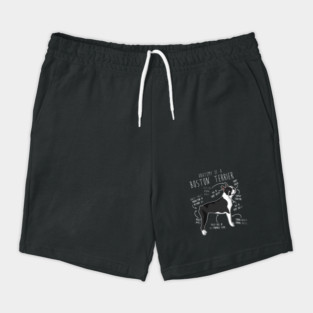 Boston Terrier Dog Anatomy Shorts