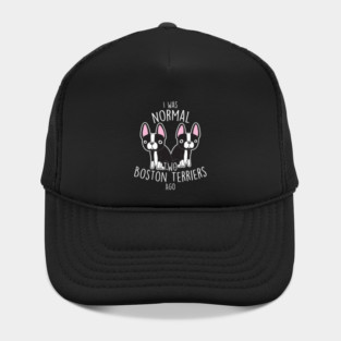 Boston Terrier Dog Normal Hat