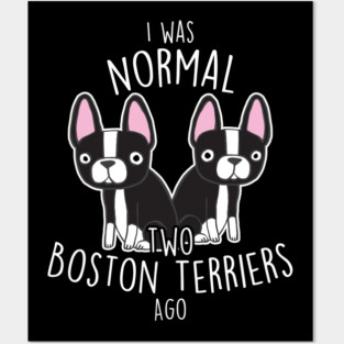 Boston Terrier Dog Normal Posters and Art