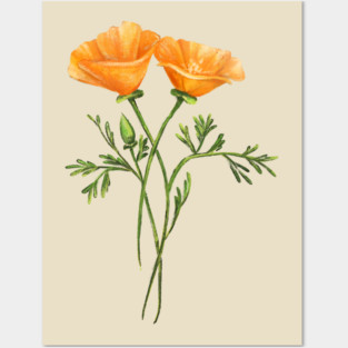 California Poppy Posters and Art