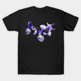 Irises - Group of Japanese Irises T-Shirt