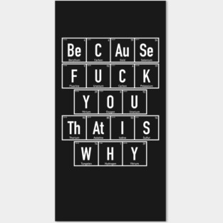 Chemistry - Because Fuck You That is Why - Periodic Table Posters and Art