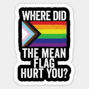 LGBTQIA+ Black Pride Where Did The Mean Flag Hurt You? Magnet
