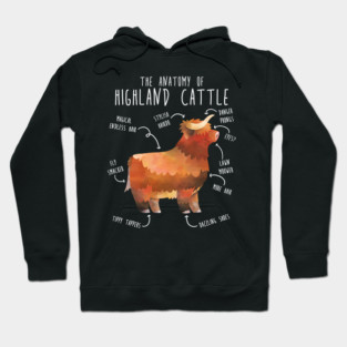 Highland Cow Anatomy Hoodie