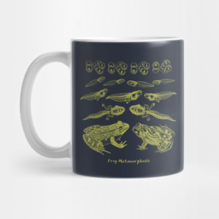 Frog Metamorphosis: The Tale of Frog-Inspired Transformations Mug