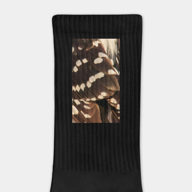 Feathers of a Downy Woodpecker by BirdsnStuff