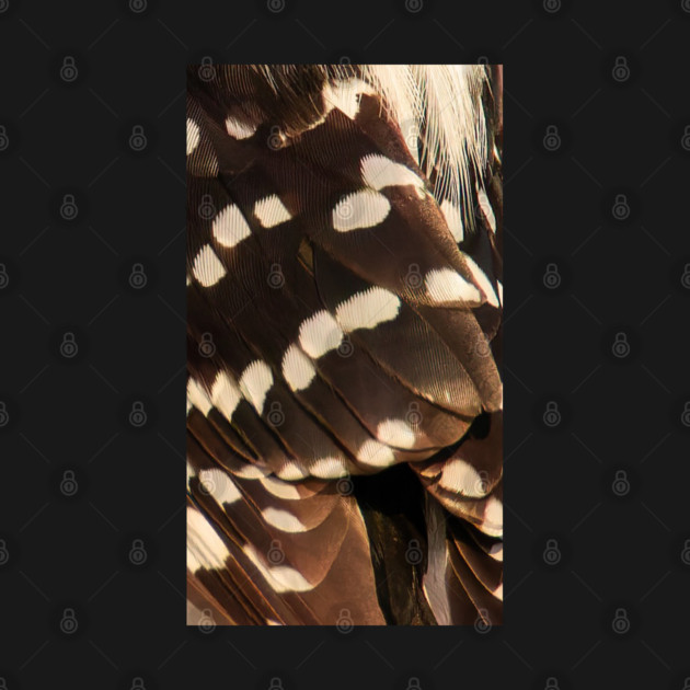 Feathers of a Downy Woodpecker by BirdsnStuff