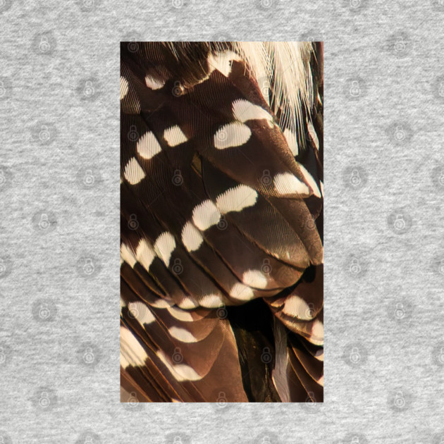 Feathers of a Downy Woodpecker by BirdsnStuff