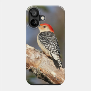 Red Bellied Woodpecker Phone Case