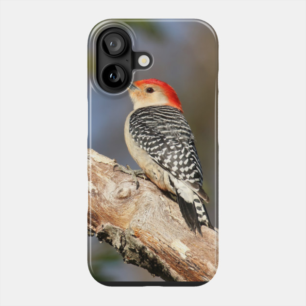 Red Bellied Woodpecker Phone Case by BirdsnStuff