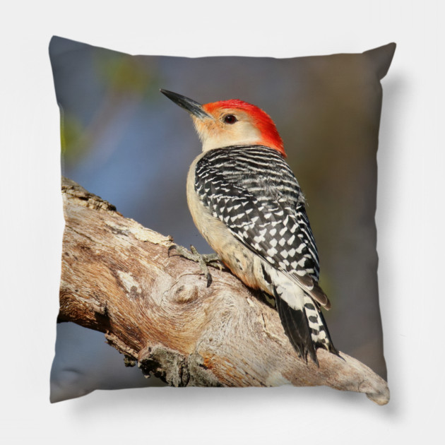 Red Bellied Woodpecker Pillow by BirdsnStuff