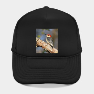 Red Bellied Woodpecker Hat