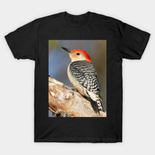 Red Bellied Woodpecker T-Shirt