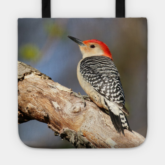 Red Bellied Woodpecker Tote by BirdsnStuff