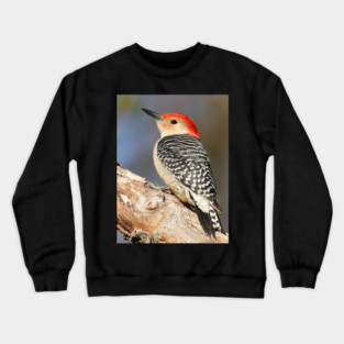 Red Bellied Woodpecker Crewneck Sweatshirt
