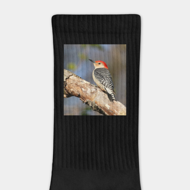 Red Bellied Woodpecker by BirdsnStuff