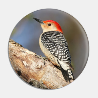 Red Bellied Woodpecker Pin