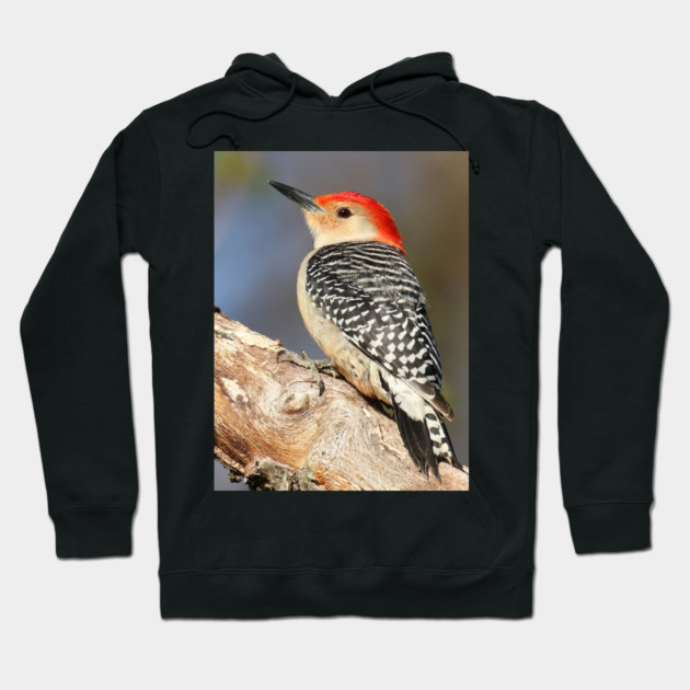 Red Bellied Woodpecker Hoodie by BirdsnStuff