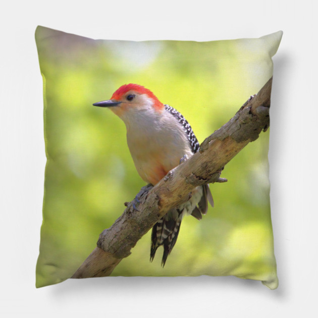 Red bellied woodpecker Pillow by BirdsnStuff