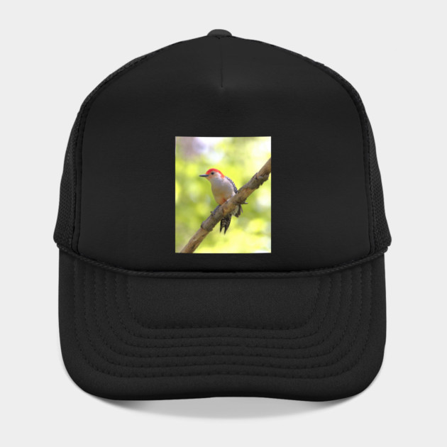 Red bellied woodpecker by BirdsnStuff