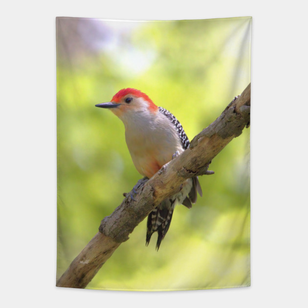 Red bellied woodpecker Tapestry by BirdsnStuff