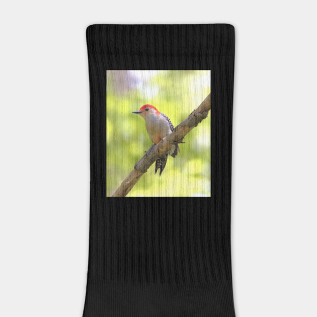 Red bellied woodpecker by BirdsnStuff