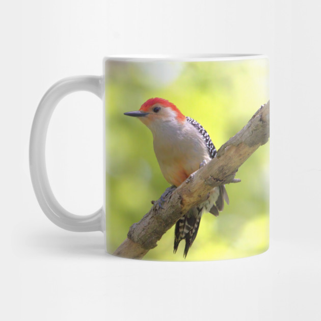 Red bellied woodpecker by BirdsnStuff