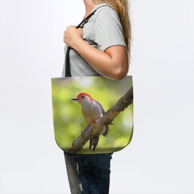 Red bellied woodpecker by BirdsnStuff