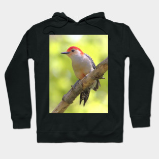Red bellied woodpecker Hoodie