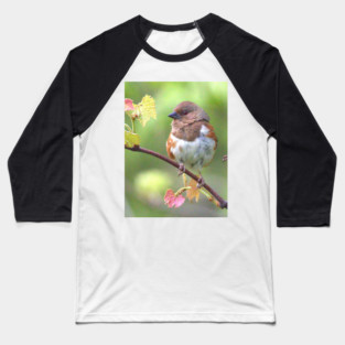 Eastern Towhee Baseball T-Shirt
