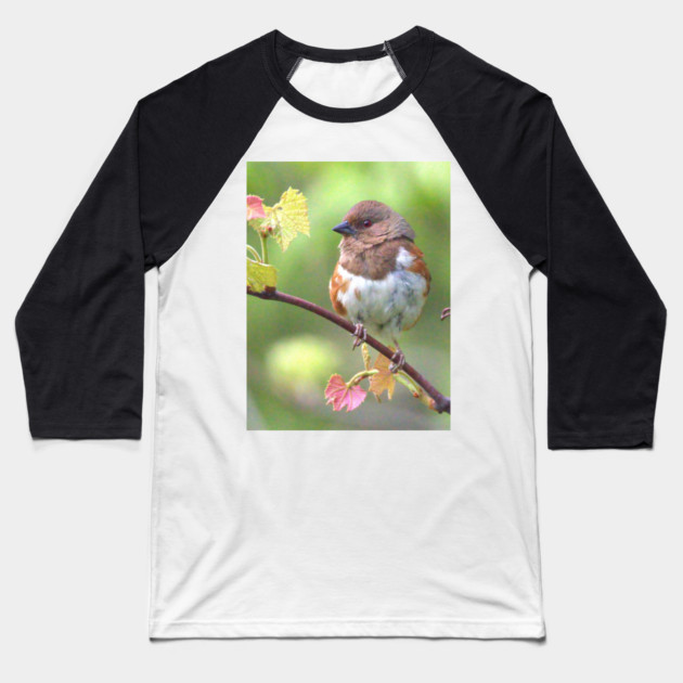 Eastern Towhee Baseball T-Shirt by BirdsnStuff
