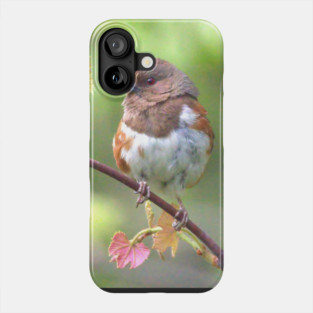 Eastern Towhee Phone Case