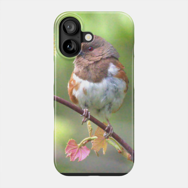 Eastern Towhee Phone Case by BirdsnStuff