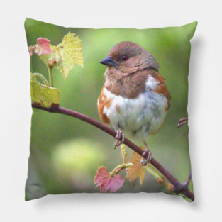 Eastern Towhee Pillow