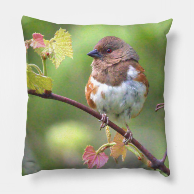 Eastern Towhee Pillow by BirdsnStuff