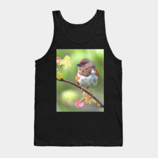 Eastern Towhee Tank Top