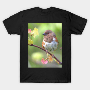 Eastern Towhee T-Shirt