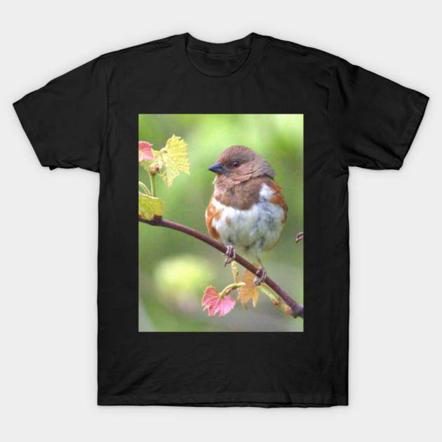 Eastern Towhee T-Shirt by BirdsnStuff